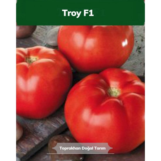 Domates Fidesi Oturak - TROY  F1